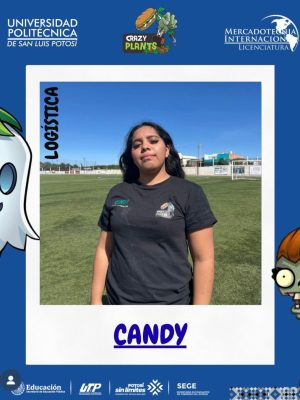 5.LOG(ENTREGAS Y STAFF) SEG